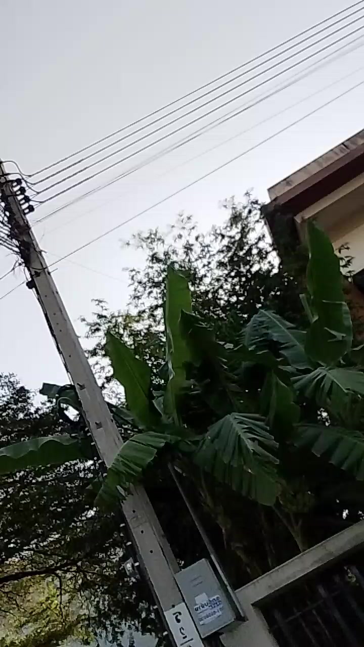 @Ei Ei Win