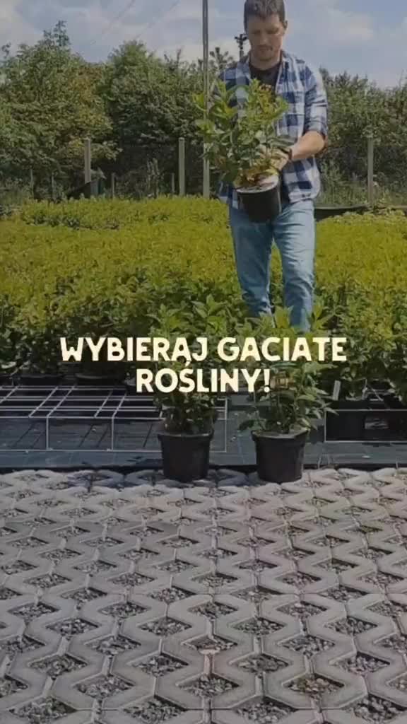 @Ogrodnik Doskonały