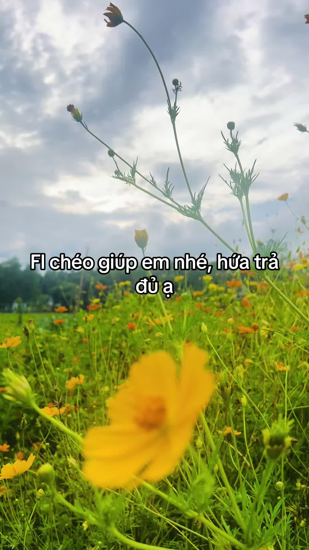 @Tiệm Hồng L&egrave;