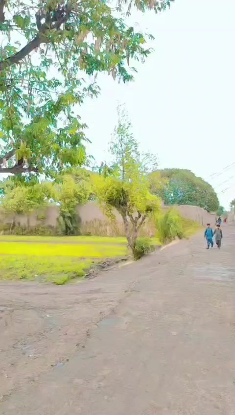 @shakir786
