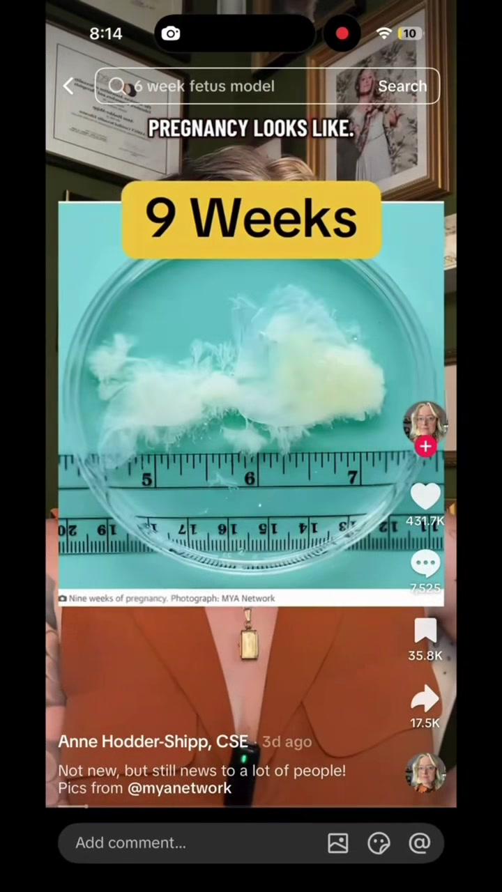 @prolifefrenchie