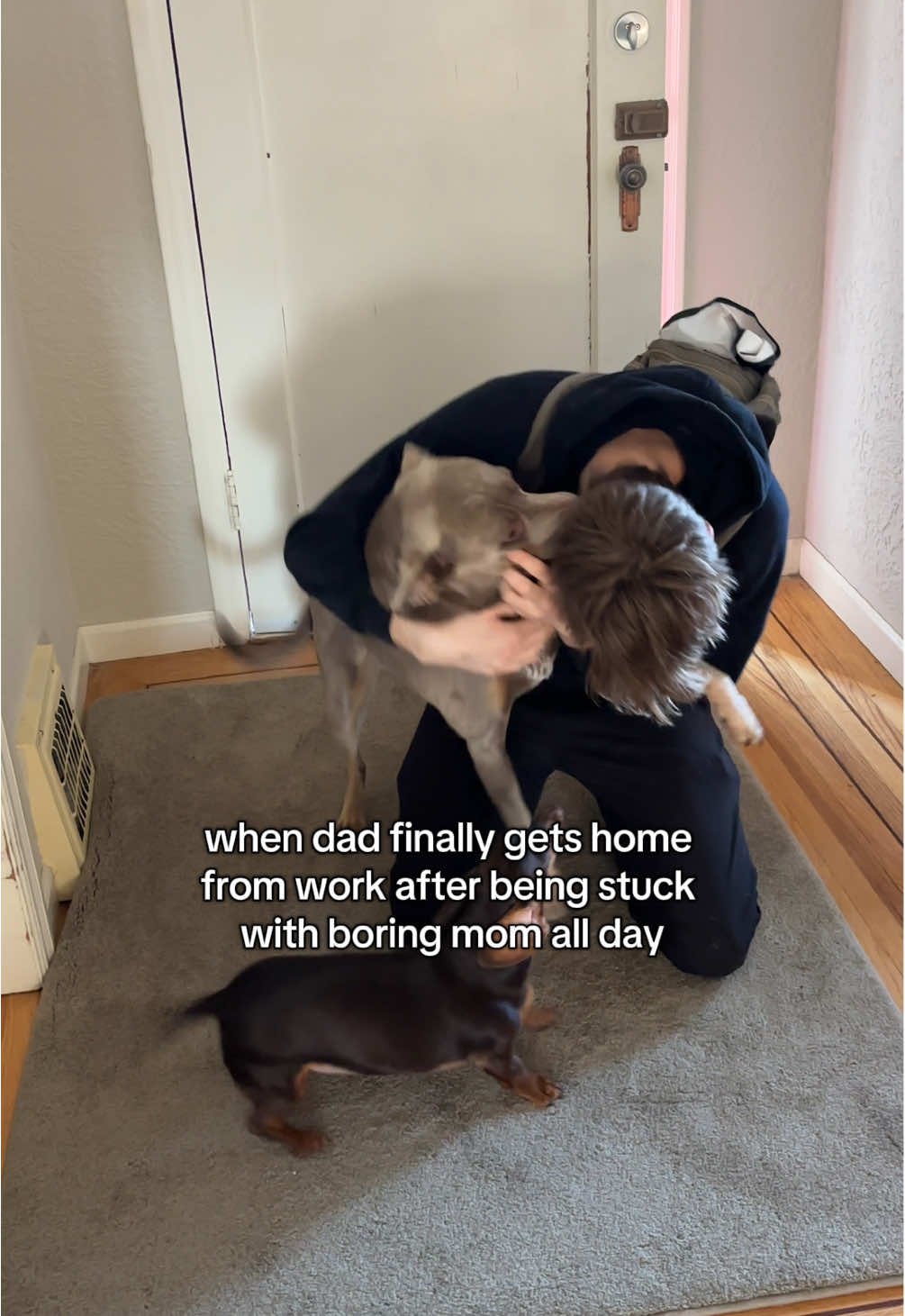 @rhubarb the doggo