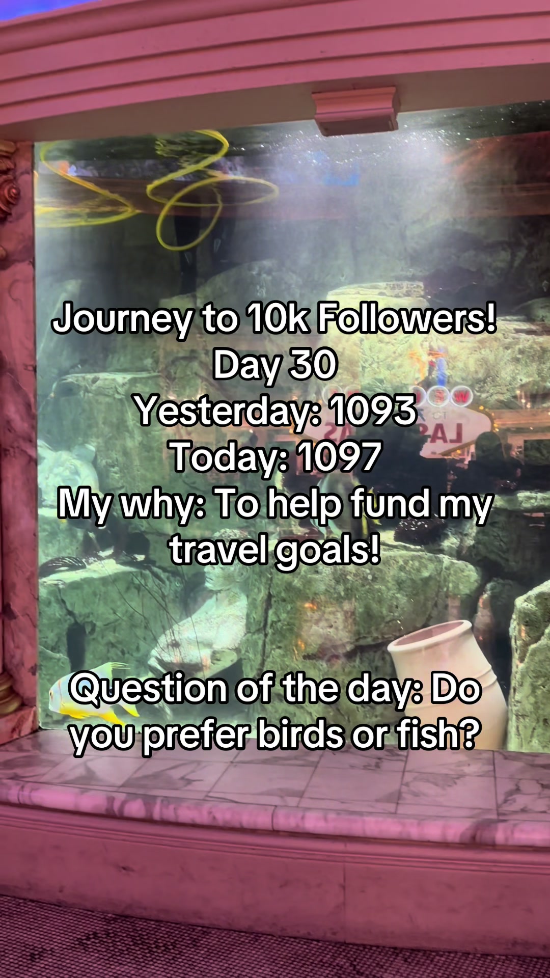@Travel Goals!