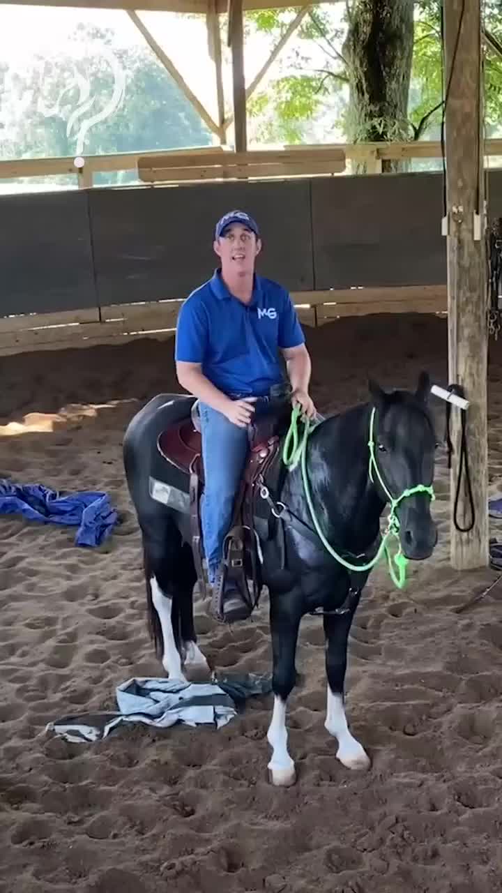@Horse Help