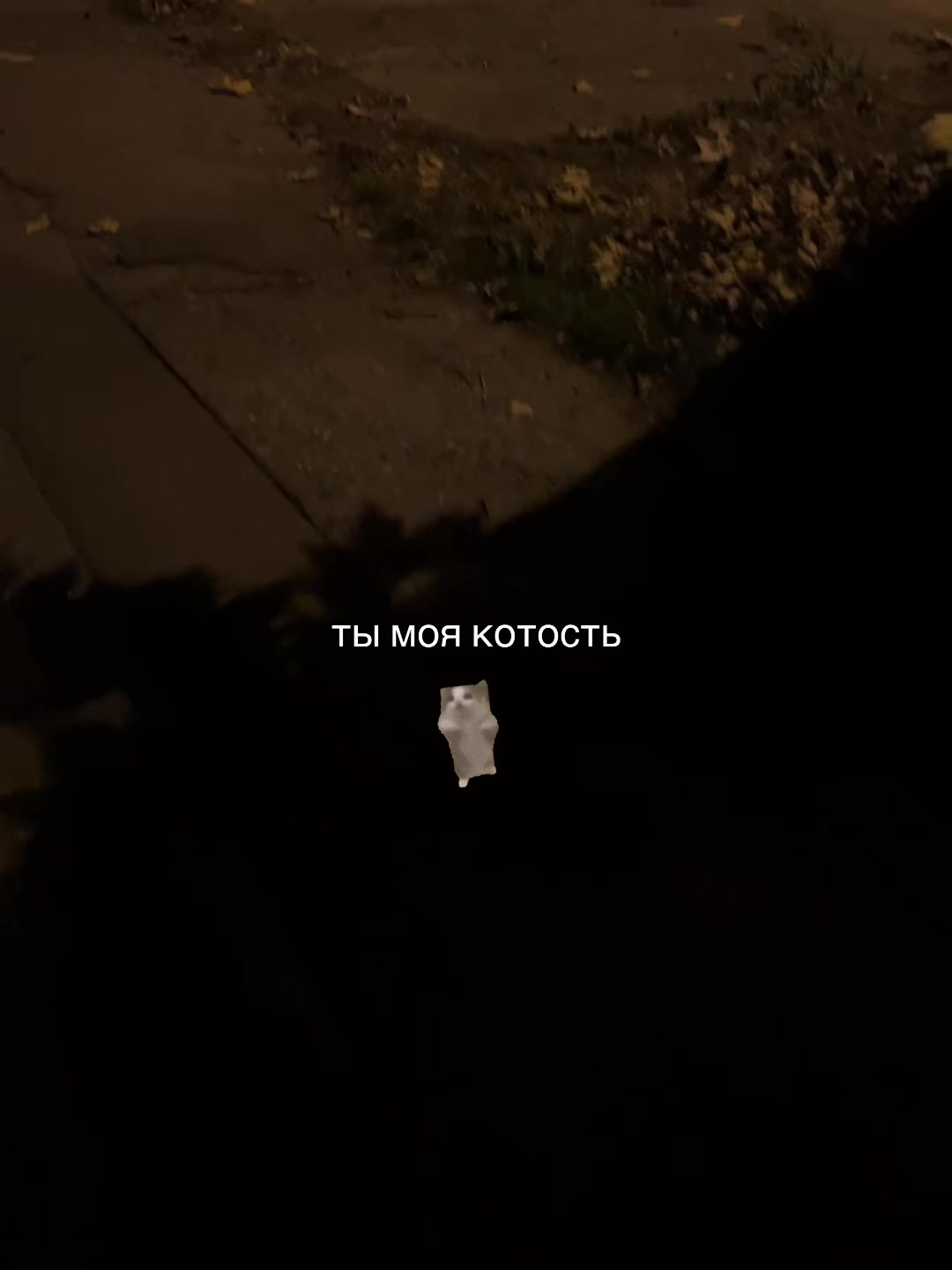 @лю бов ник