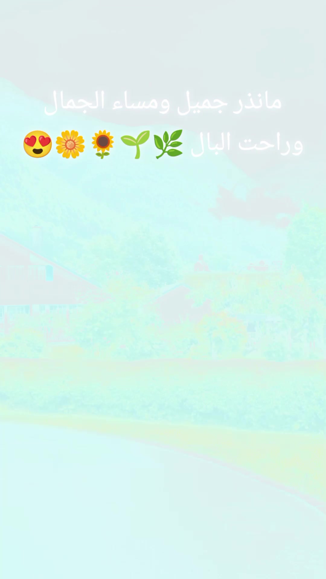 @وتستمر الحياة 🇩🇿🫀