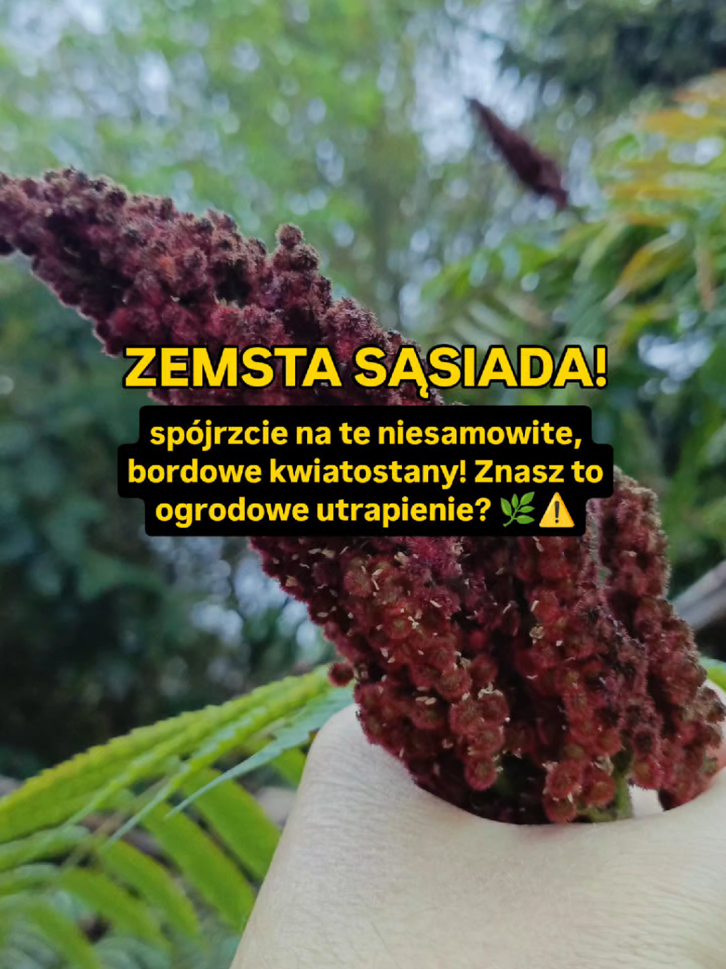 @Chwila Na Naturę🌿
