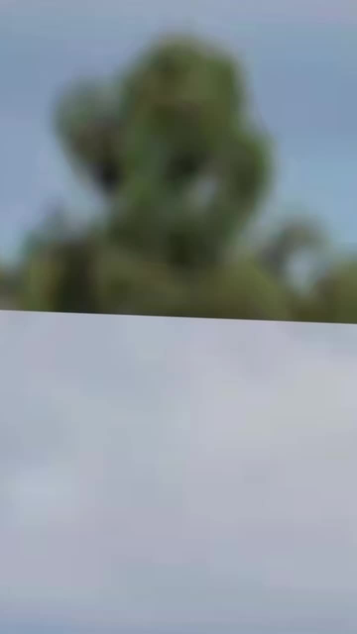 @💎𝐺𝒾𝓊𝓁𝒾𝒶👑