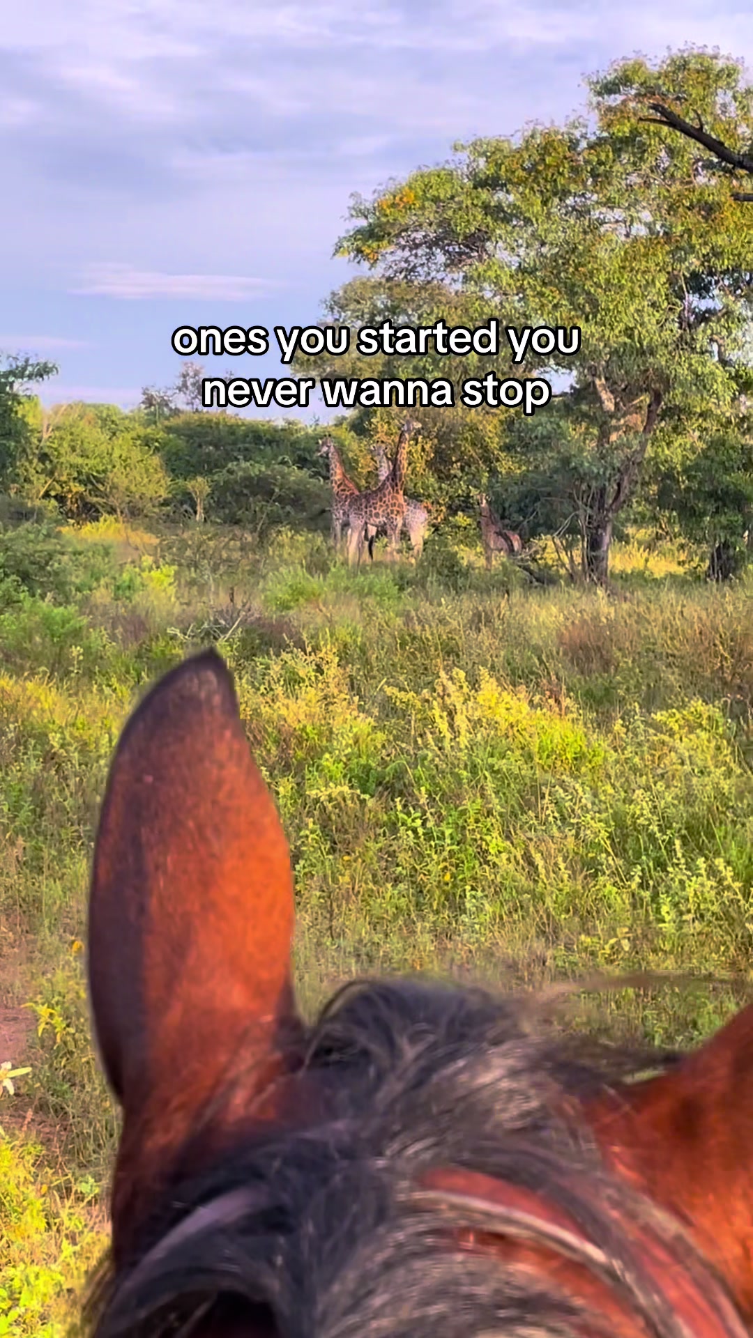@Hoof & Travel 🐴🌍🐘