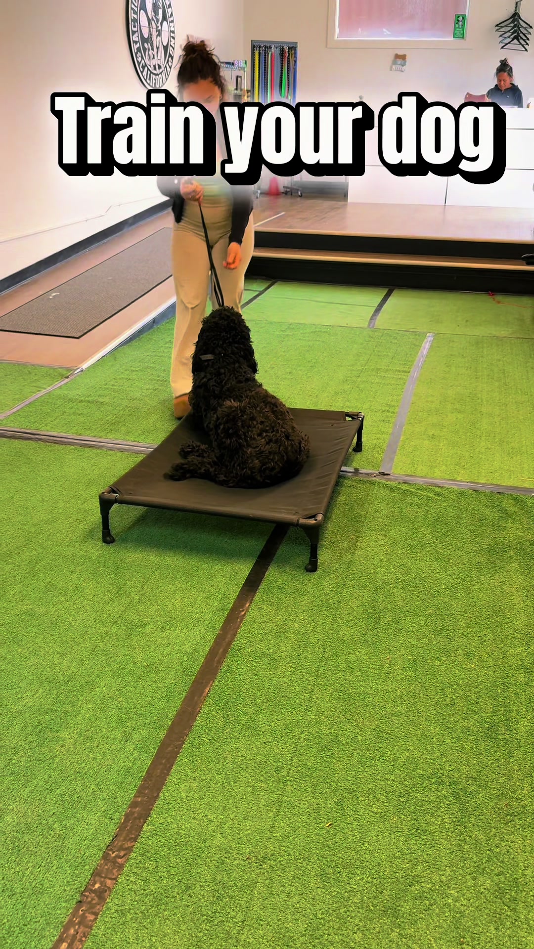 @Tactical K9s Dog Training