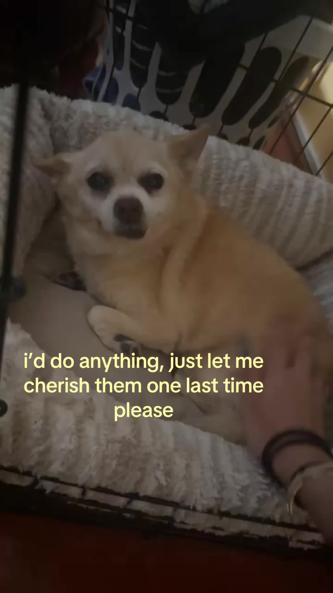 @ash
