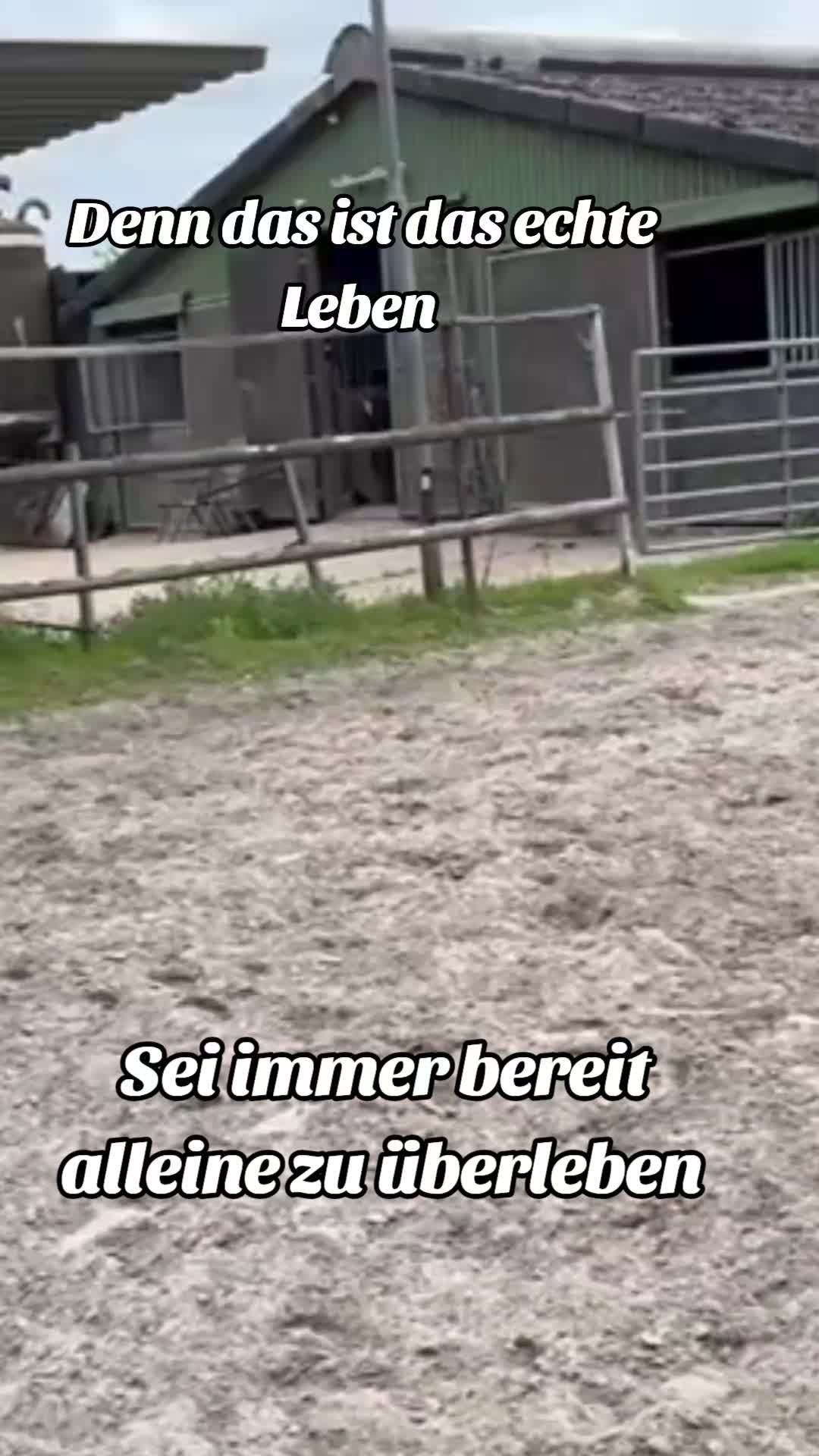 @Sandra Gehrls