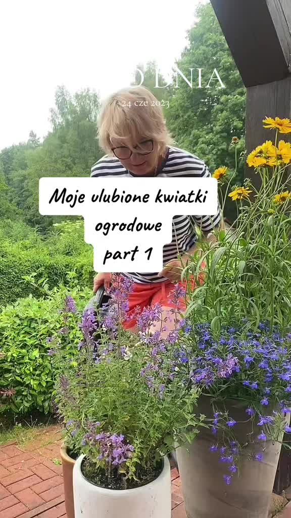 @Sylwia