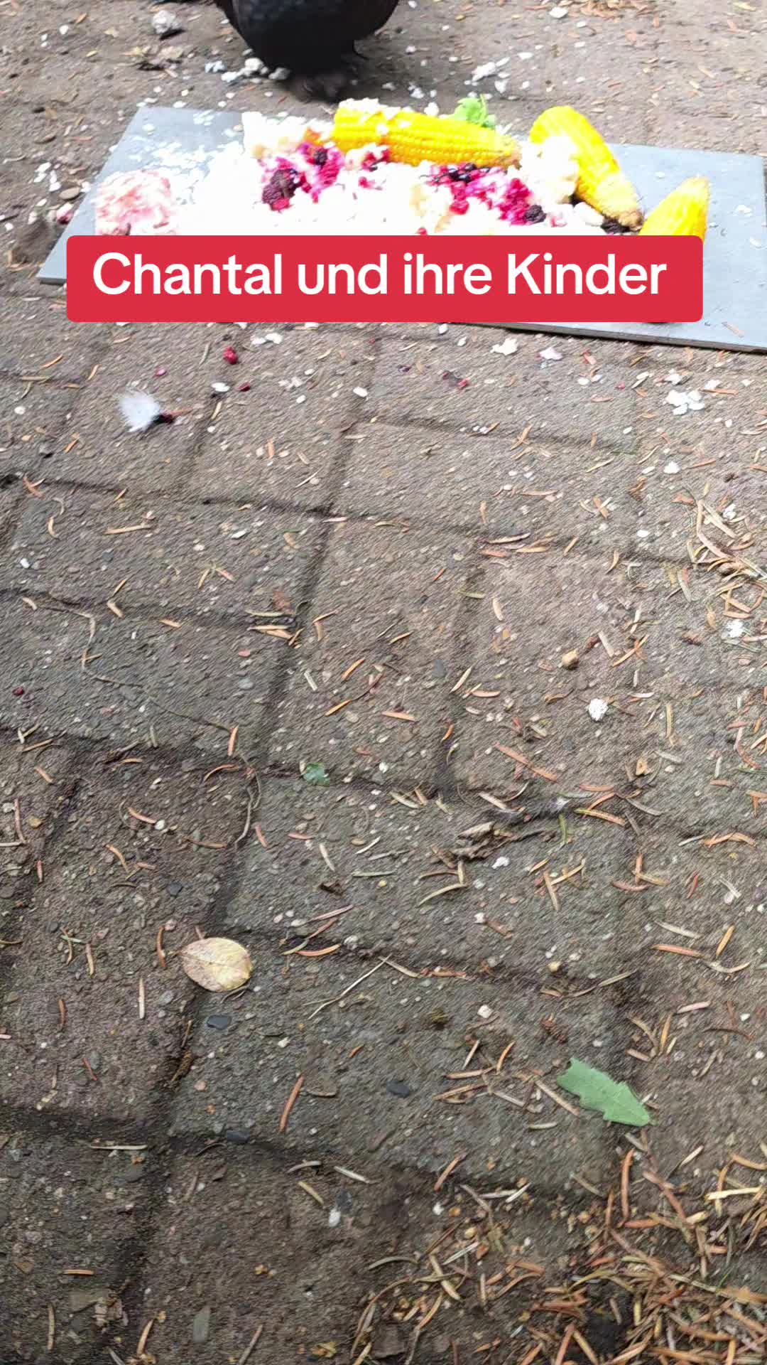 @Janine&Schatzi die echten