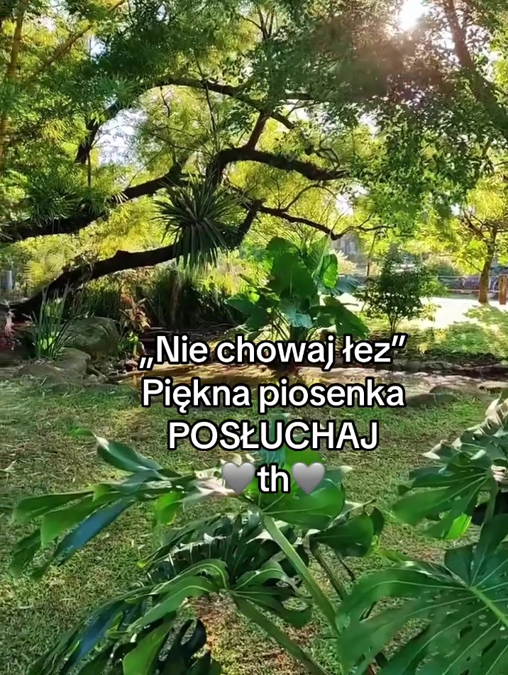 @Teresa