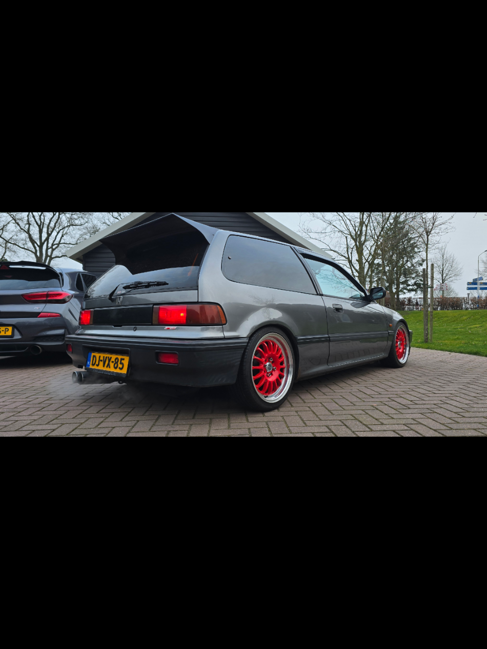 @Stefan Nijenhuis556