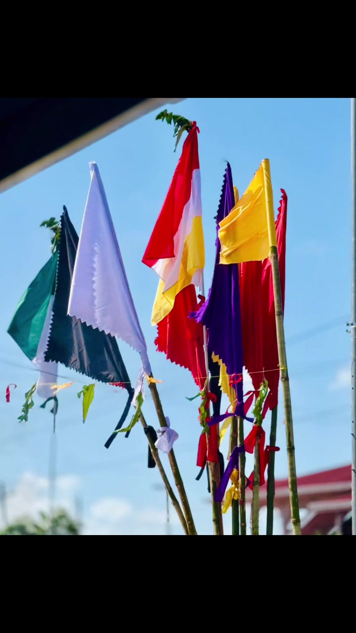 @💜 लेशाना नायडू 💜