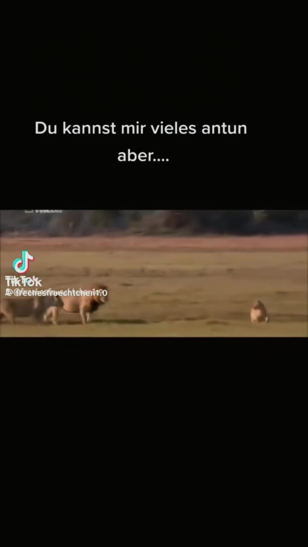 @Xx_𝕡𝕣𝕚𝕟𝕔𝕖𝕤𝕤_xX