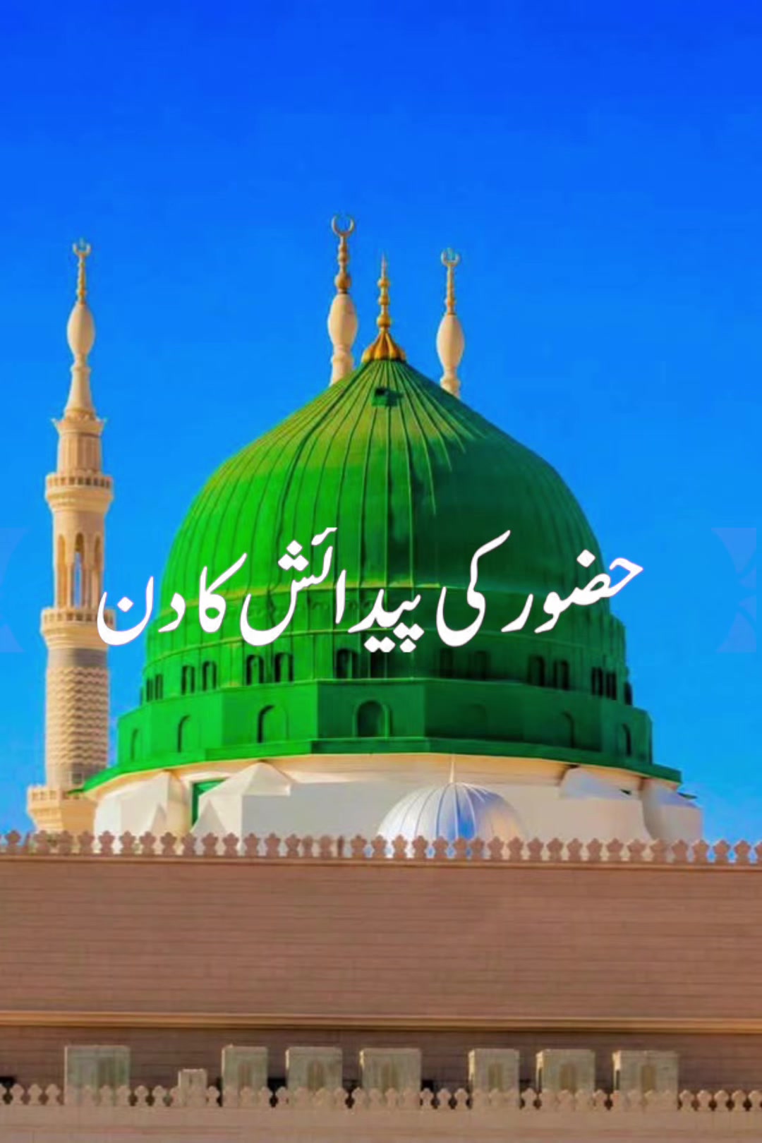 @madinamunawar7