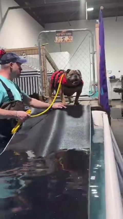 @barkleythabulldog