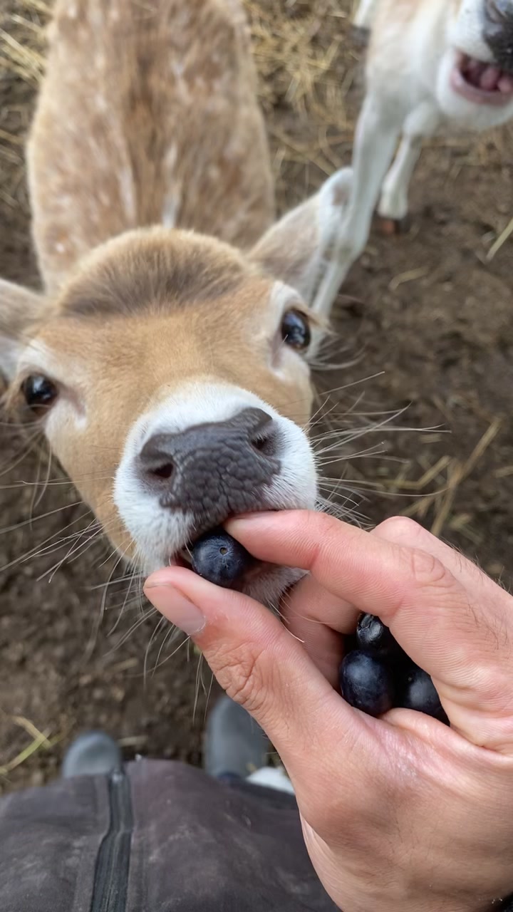 @Boo__Farm