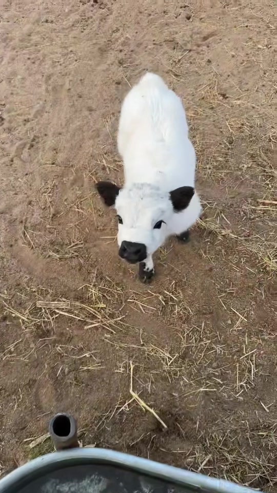 @hannahsnores
