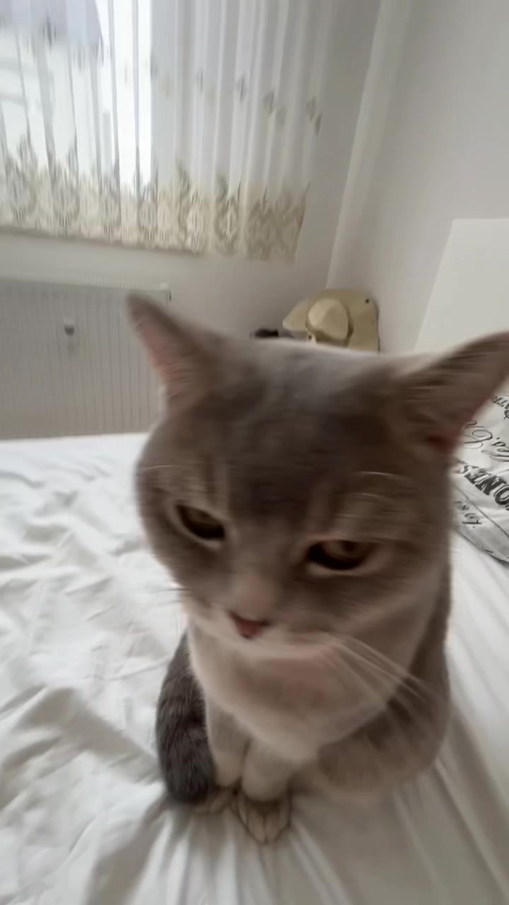 @betül31