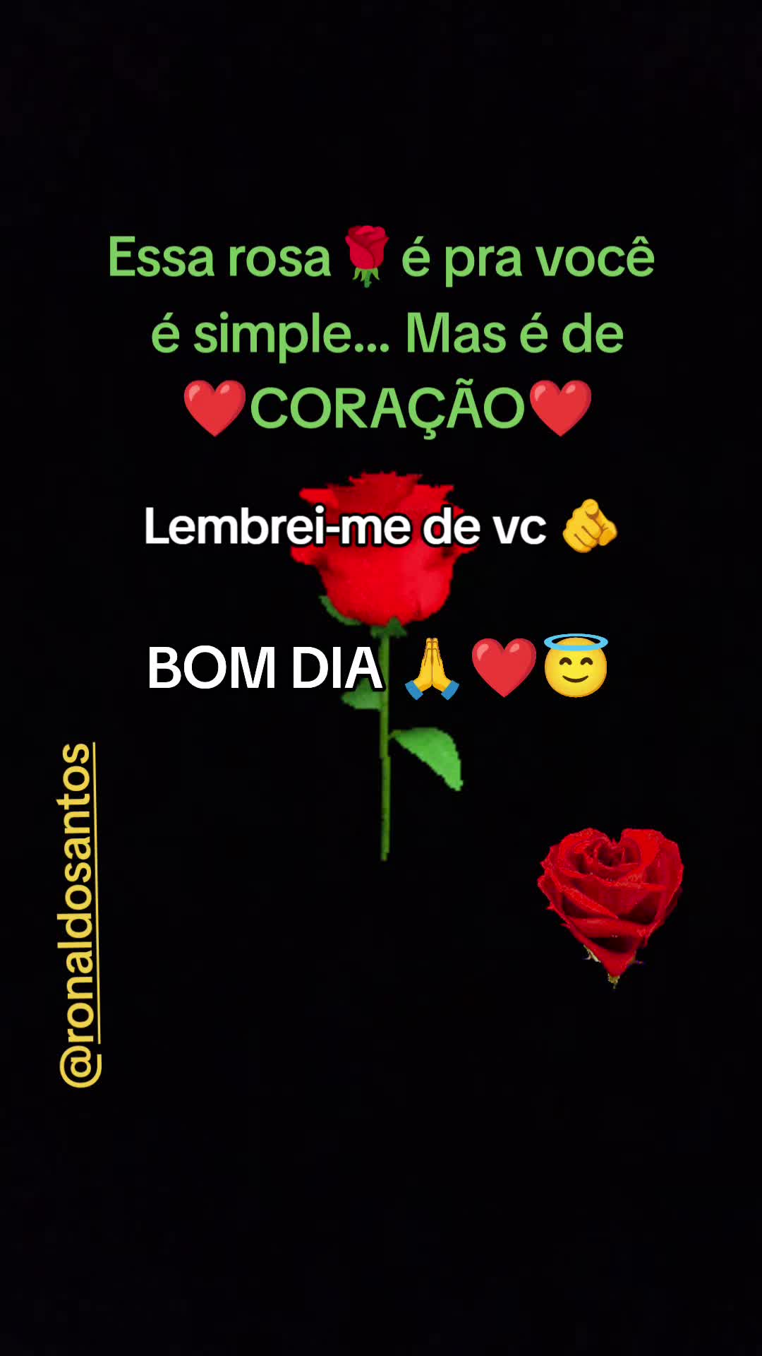 @ronaldosantos