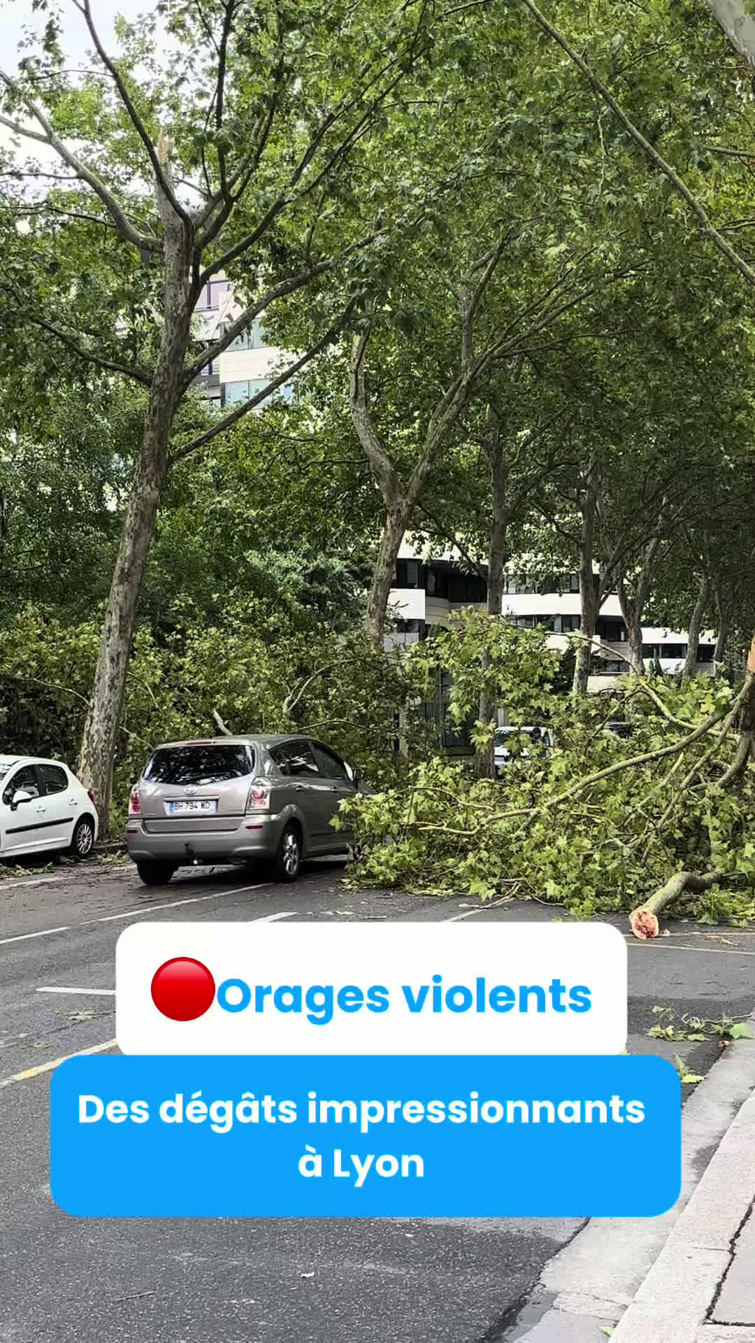 @actu Lyon