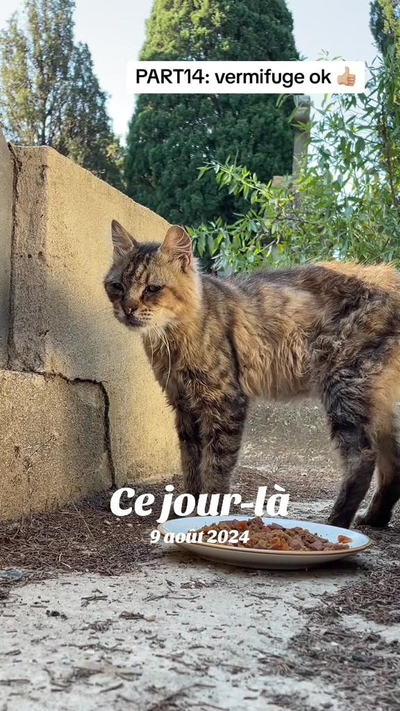 @LoTilia__