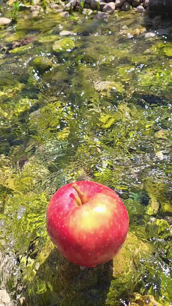 @Apple