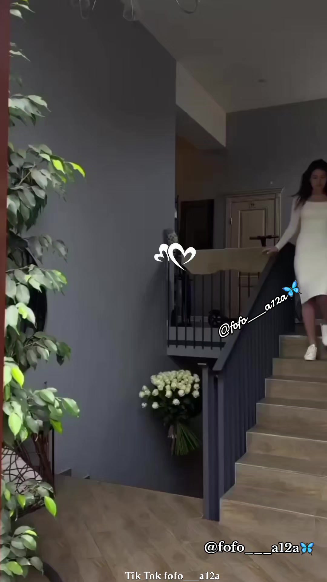 @✨🦋فراشـᬼ❥᭄❥ᬼـة🦋✨