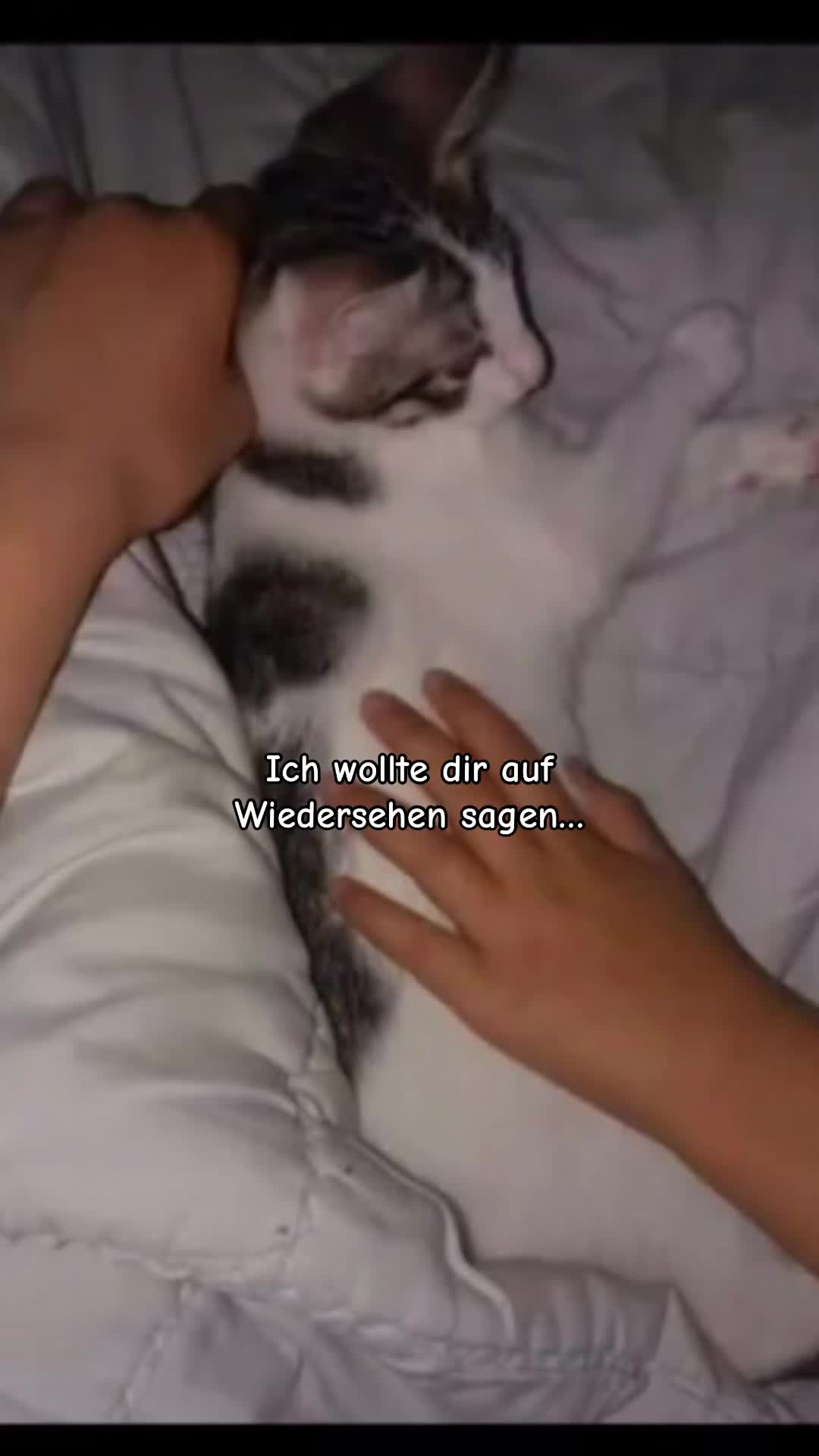 @sophie_kiki_m