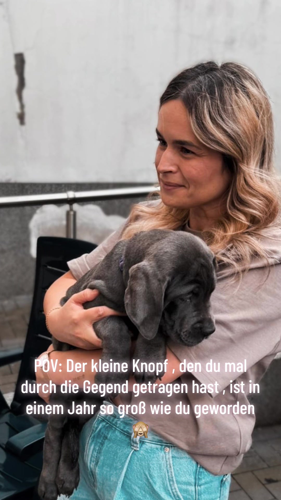 @Cane Corso Ayra 🐾