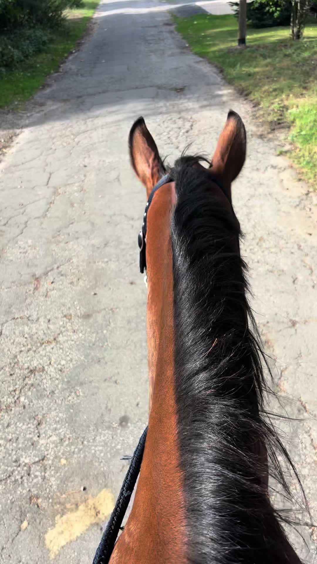 @laura_equestrian25