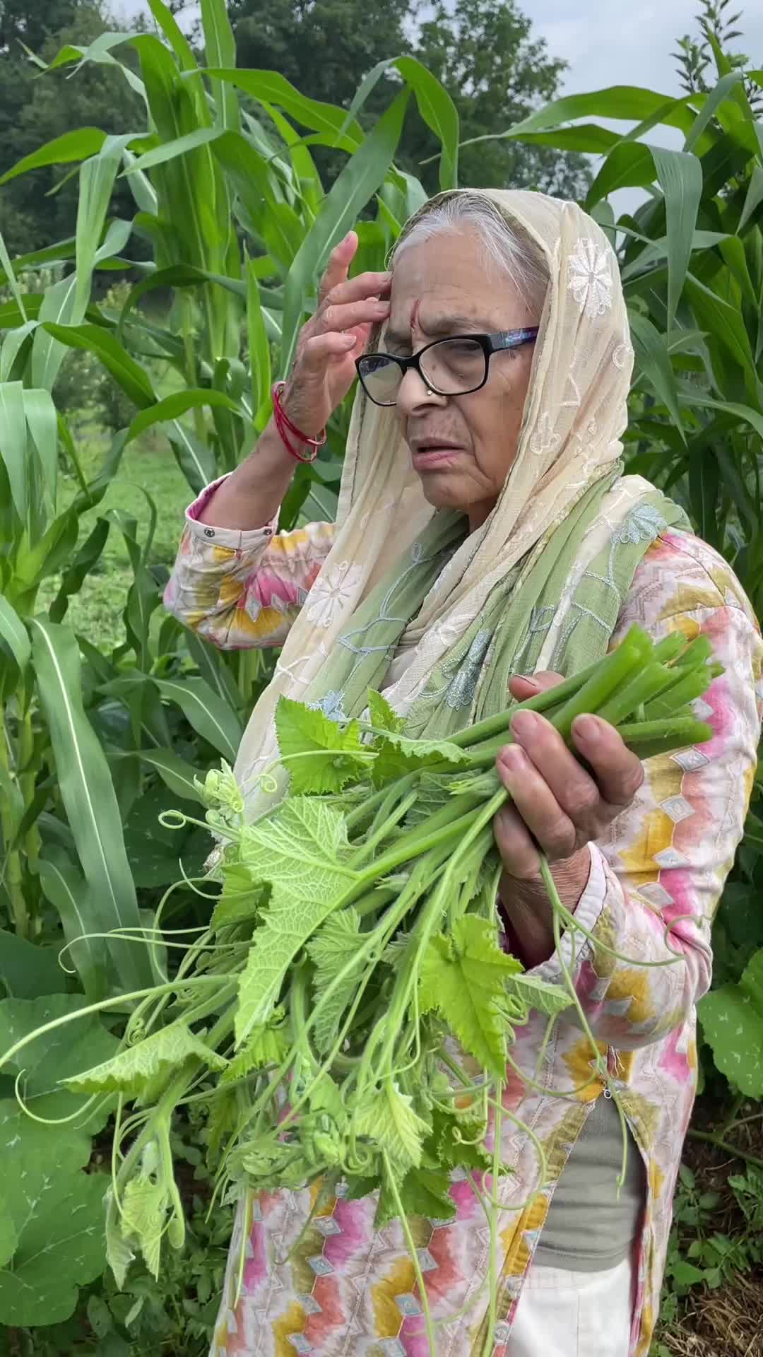 @आमा र जग्गुदिदी