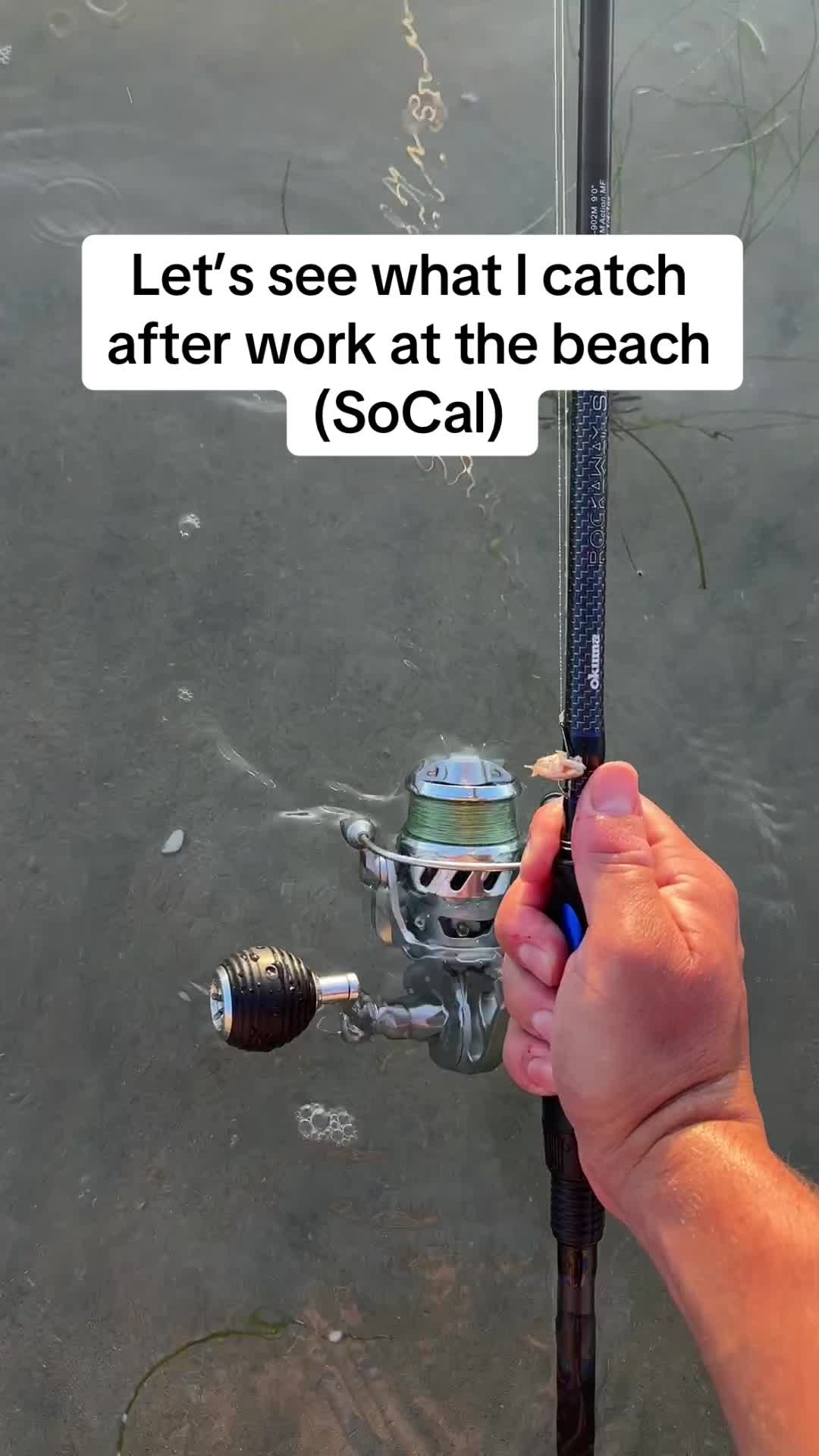 @Marino24