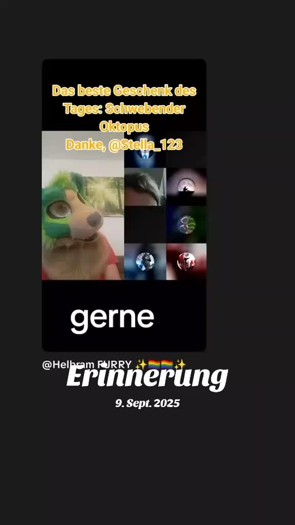 @Stella_and_furry_MFL_