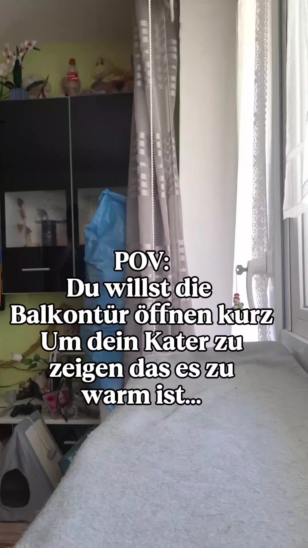 @★★ĄŊŊĮ★★