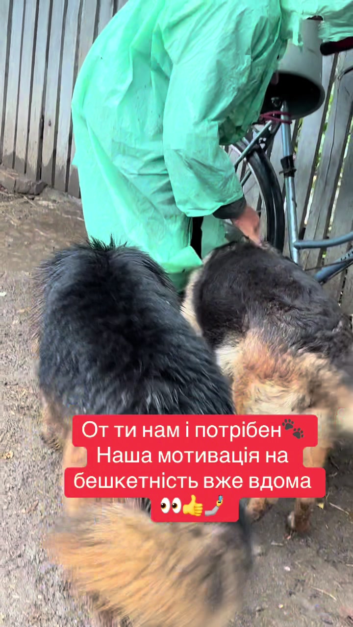 @Наташа Мазур.