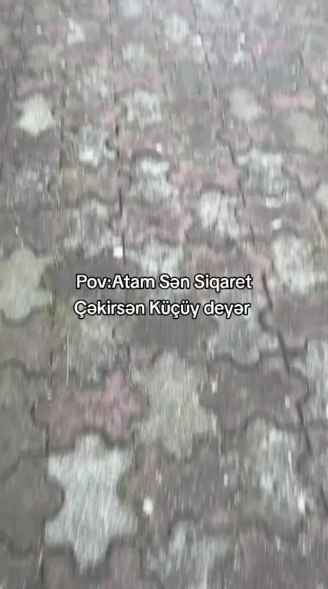 @alekberofws
