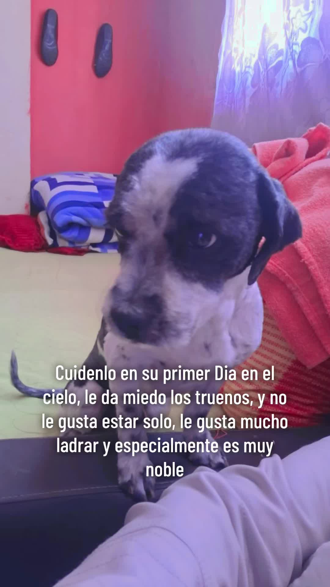 @Alessandro14