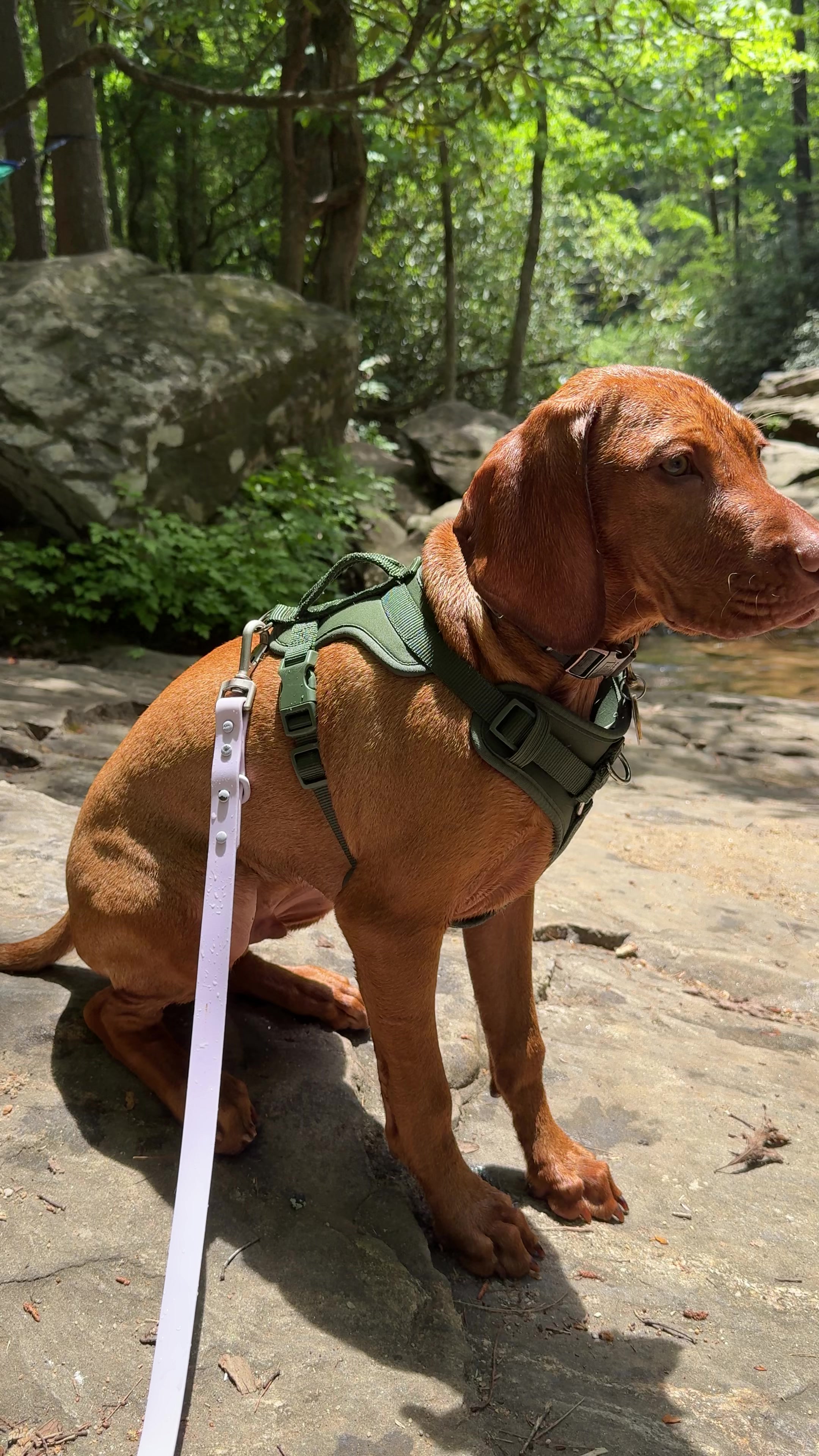 @Copper | Penny