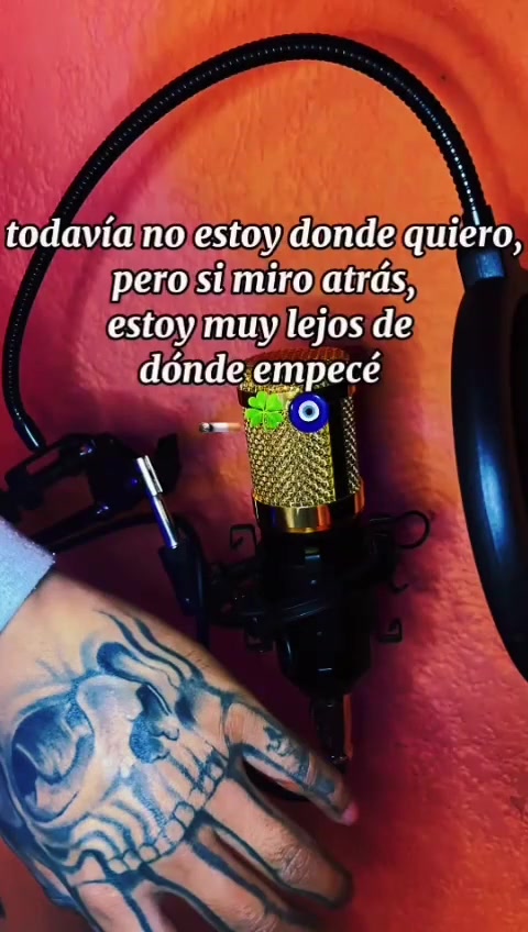 @tigrillo_mx