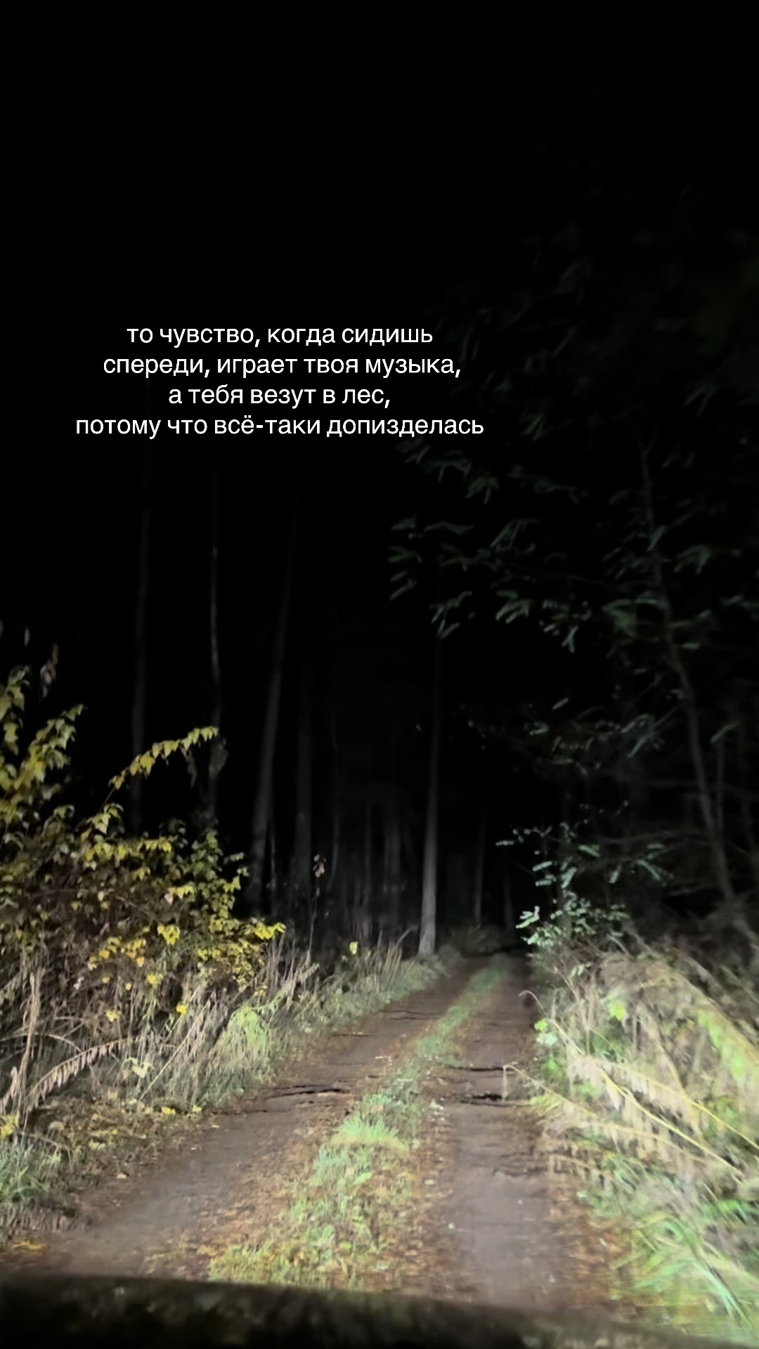 @ксюха