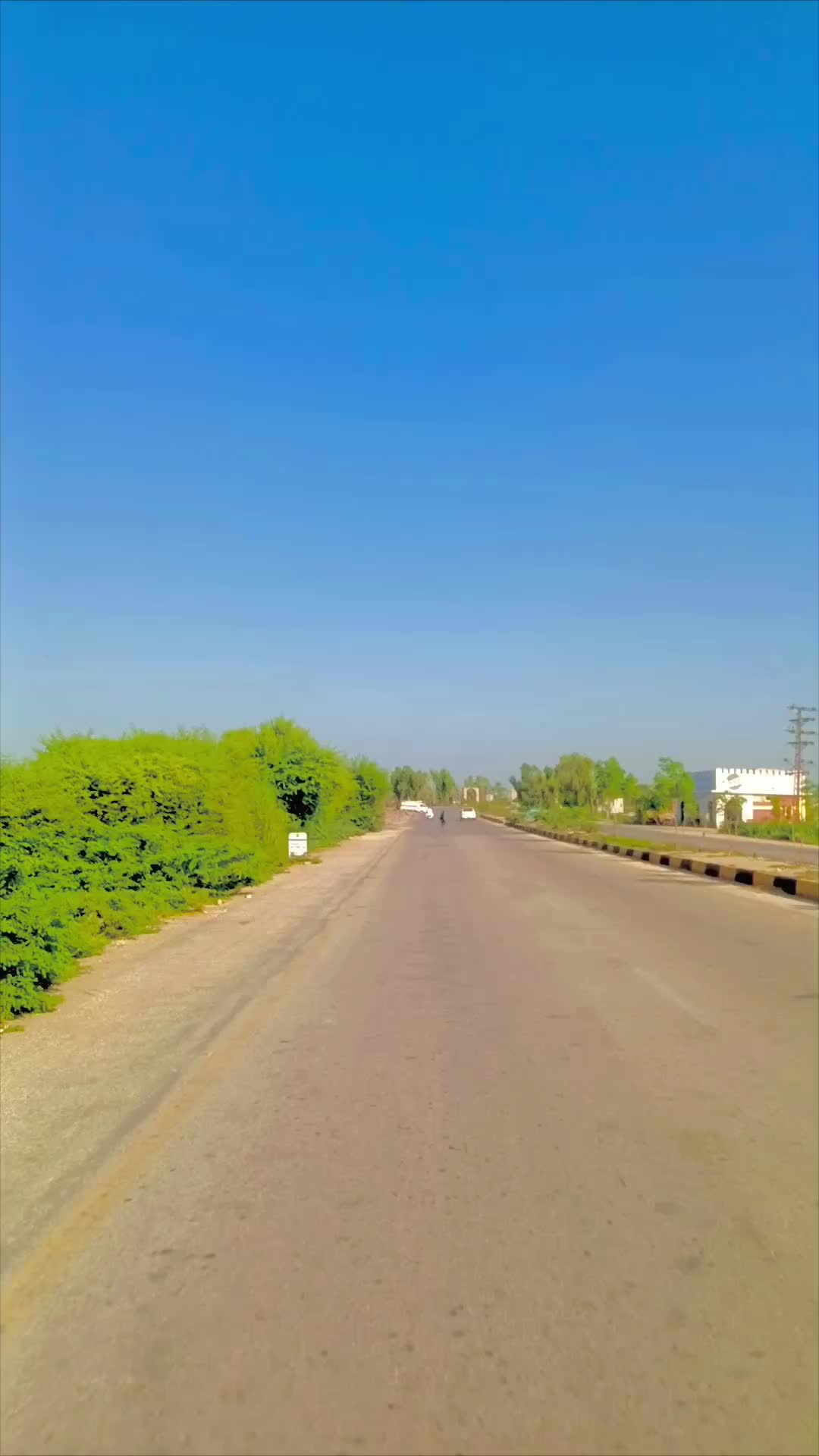 @Nawab Zadi🥰