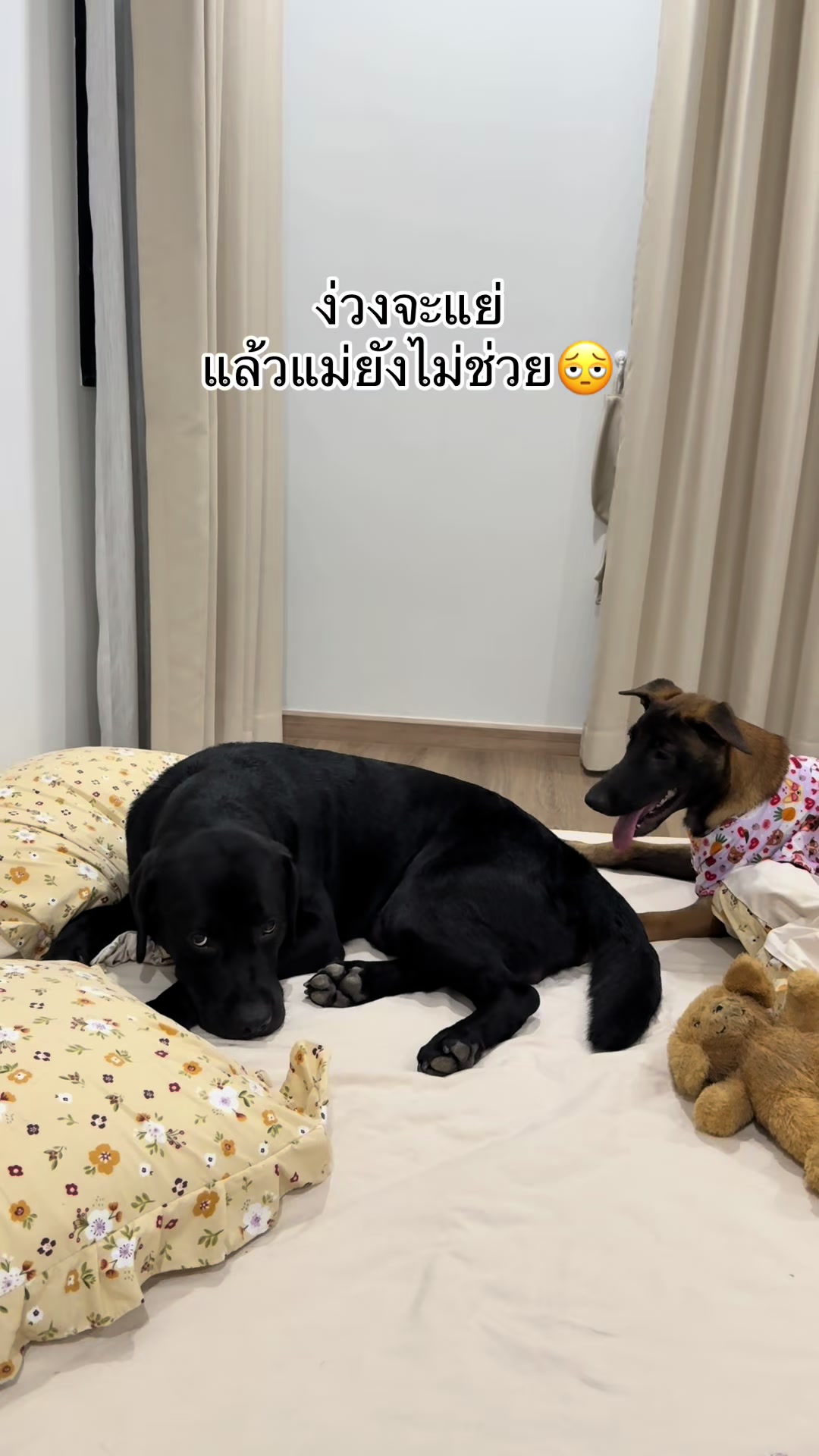 @พี่เรนเจอร์กับน้องเรนจี้