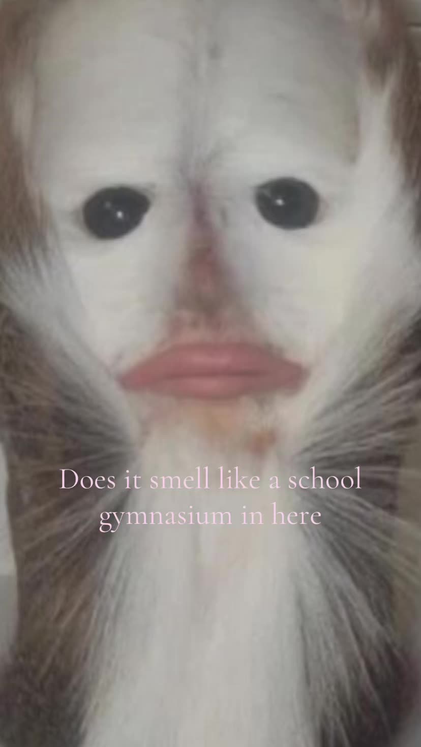 @Olivia