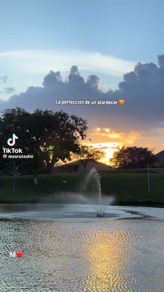 @Aguirre Aguirre 503