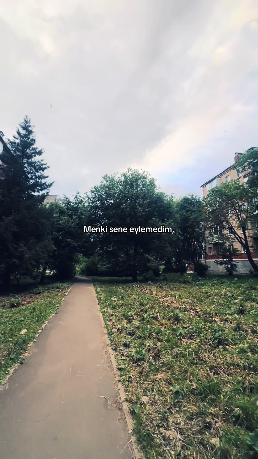 @Memmedows⚡️